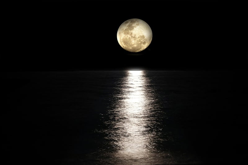 Moonlit Suit